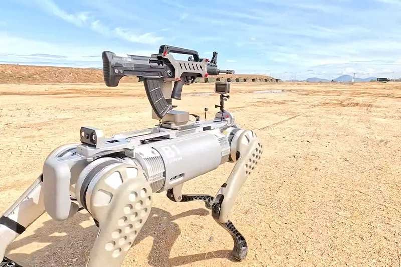 Chinese military’s rifle-toting robot dogs raise concerns in Congress